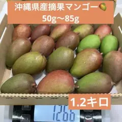 沖縄県産摘果マンゴーグリーンマンゴー青マンゴー／57 - メルカリ