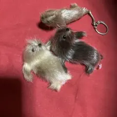 アザラシ ラッコ　トド　毛皮　置物　キーホルダーセット　リアル　マスコット