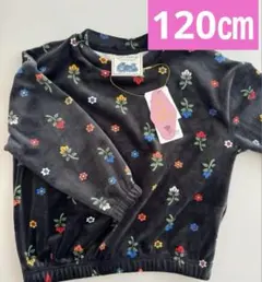 Item thumbnail for item 6bc465e4-9794-4b2e-8f85-af77f8d7f182