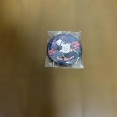 WIND BREAKER 缶バッジ