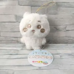 2026年最新】m!lkぬいぐるみの人気アイテム - メルカリ