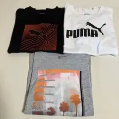 PUMA Tシャツ 3枚セット　【160cm】