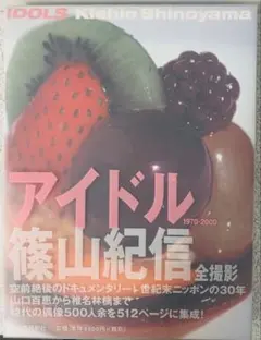 篠山紀信 アート