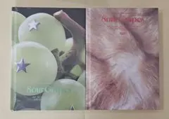 NiziU Sour Grapes 2種セット 新品 미개봉