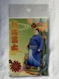 Item thumbnail for item e8a9cc2a-80c6-426e-85ae-4104b986f3dd