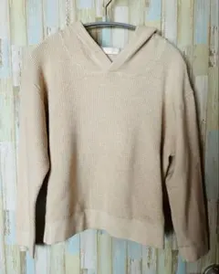 anysis Vネック フード付きニット　ベージュ