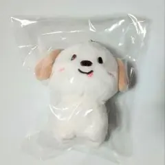アントン、モンリョンイ、ぬいぐるみ、RIIZE PARK DOLL 20cm - メルカリ