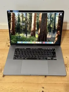 美品 MacBook Pro 16インチ 32GB/1TB ベクターワークス - メルカリ