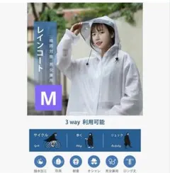 Item thumbnail for item b6f88b3a-cb4e-4f71-b226-d083b6d71a01