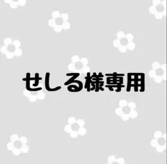 せしる様専用