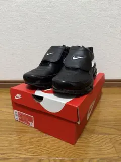 Nike WMNS Air Max Plus Tiempo 28センチ