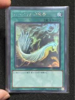 【ARS 10+】ハーピィの羽根帚　ホログラフィック Amazon.co.jp: 遊戯王カード ハーピィの羽根帚(ホログラフィック