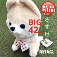 2026年最新】豆柴の大群 ぬいぐるみの人気アイテム - メルカリ