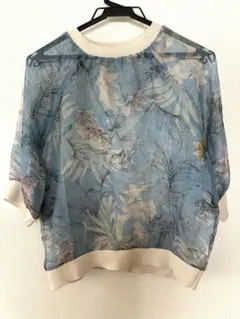 ZARAシースルートップス