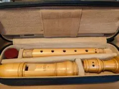 2026年最新】メック リコーダーの人気アイテム - メルカリ