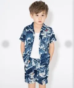 Item thumbnail for item a8ec351c-1cf6-4ae7-94cc-831e8de8a278