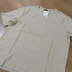 Item thumbnail for item 514678c5-cc98-4eb9-9550-13e4bf62e615