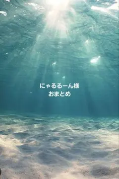にゃるるーん様 おまとめ