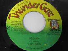 90年代　ジャパレゲ7インチ　PAPA BON / 何かが・・・
