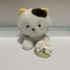 タグ付き　タマ＆フレンズ うちのタマ知りませんか？ ぬいぐるみ　吉徳　SONY