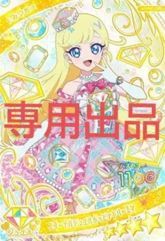 専用出品