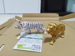 2025年最新】ホワイトタイガー アニアの人気アイテム - メルカリ