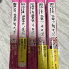 総長様、溺愛につき。