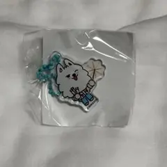 TXT スビン プルバトゥ Summer together ガチャ ヨンモン