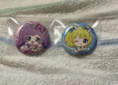 プリパラ きゃらっぴん 缶バッジ らぁら みれぃ - メルカリ