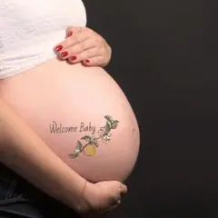 マタニティフォト ペイント シール マタニティ 妊婦