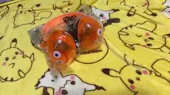 ドラゴンクエスト クリアカラーヘッドホンのサムネイル