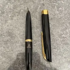 新品 廃盤 PLATINUM プラチナ 万年筆 14k 細字 半格子 食刻 蝕刻