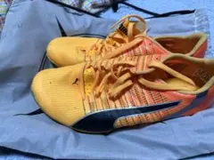 Puma エヴォスピード