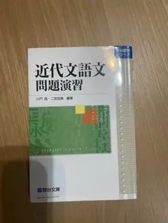 近代文語文　問題演習