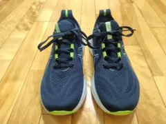 【美品】アシックス GEL-NIMBUS 26 （27.5cm 4E）