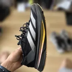 Item thumbnail for item 417f6831-a014-4966-8e30-6d7f72500f99