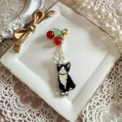 ❤️ 猫　ねこ　さくらんぼ　チャーム　バックチャーム　ハンドメイド　260828
