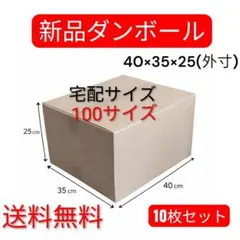 【新品】ダンボール 100サイズ 10枚セット 梱包資材 段ボール箱 無地