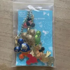 東京ディズニーリゾート 30周年記念 キーホルダー