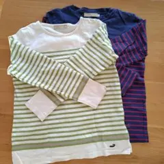 CROCODILE 長袖Tシャツ 2点セット Mサイズ