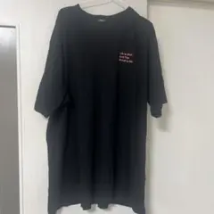 Tシャツ 5L