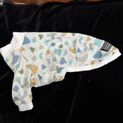 Item thumbnail for item f9bb437c-771d-4768-999f-17421664fd9e