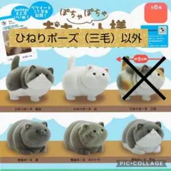 おキャット様　ガチャ　セミコンプ