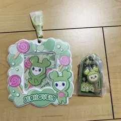 TWICE LOVELYS カードホルダー ジョンブリー ジョンヨン　トレカ付き