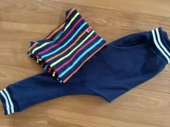 4an fithのサルエルパンツ、フランスtシャツ