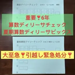 ㉓H サピックス SAPIX 6年 夏期算数ディリーチェック フルセット 