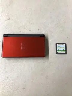 レッド ニンテンドーDS Lite 本体 + おいでよどうぶつの森