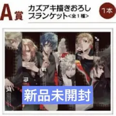 ⚠️説明文必読⚠️ Starry☆Sky ブランケット スタスカ