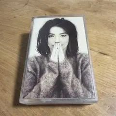 Item thumbnail for item 3d063950-1818-4339-b33d-322f002470ce