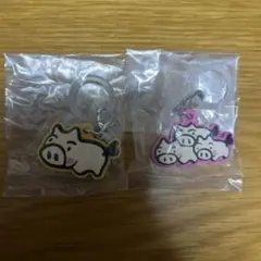 はれときとぎぶた　目印チャーム